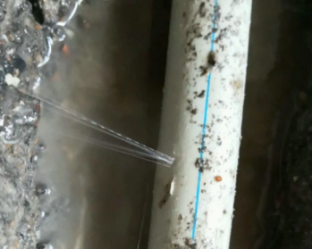 逊克卫生间测漏水多少钱