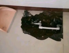 逊克卫生间测漏水多少钱